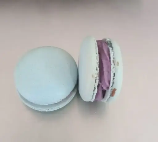 Blueberry Macarons (Pack of 5)